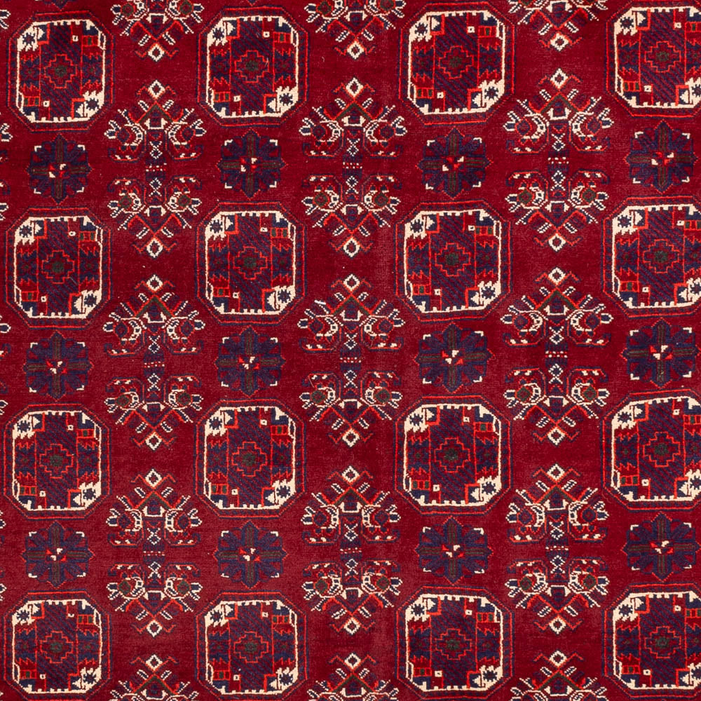 Tapis afghan - Boukhara - 288 x 197 cm - rouge