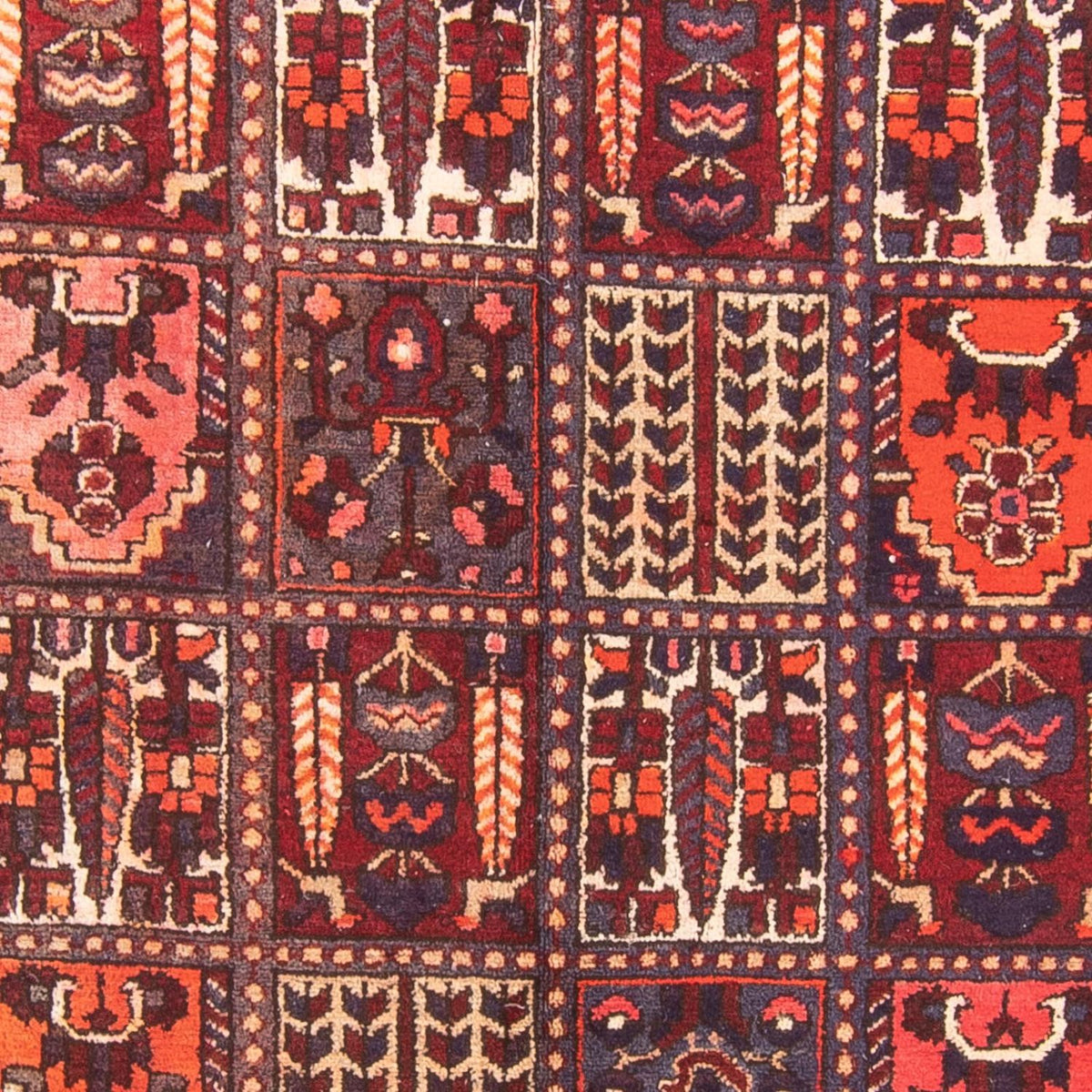 Tapis de couloir Tapis persan - Nomadic - 290 x 158 cm - multicolore