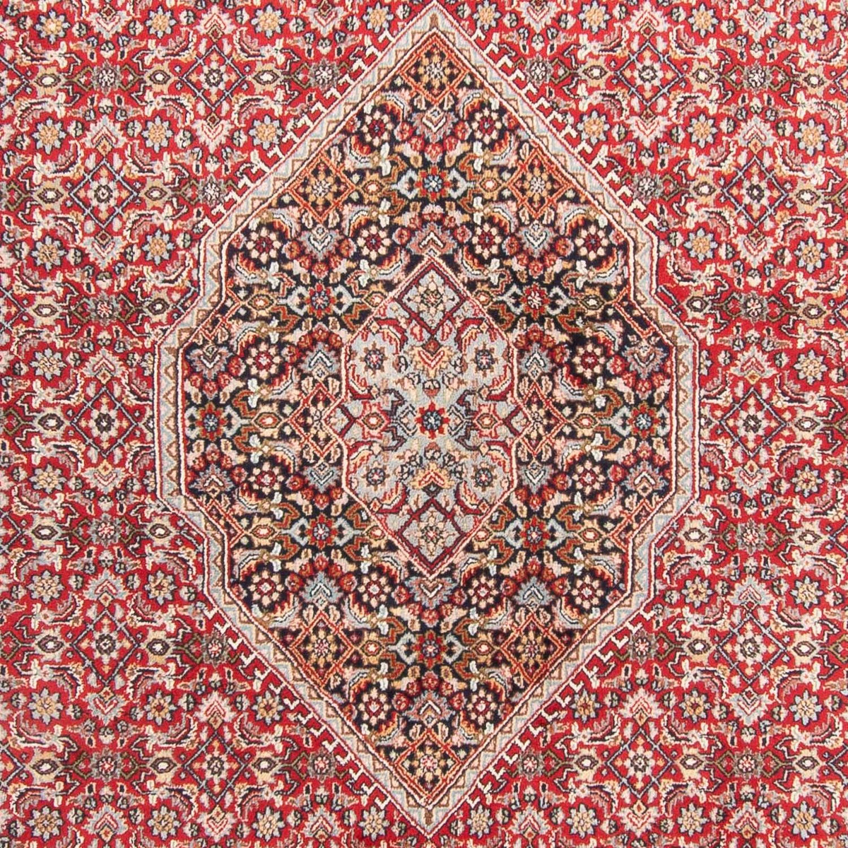 Tapis oriental - Bidjar - Indus - 407 x 305 cm - rouge