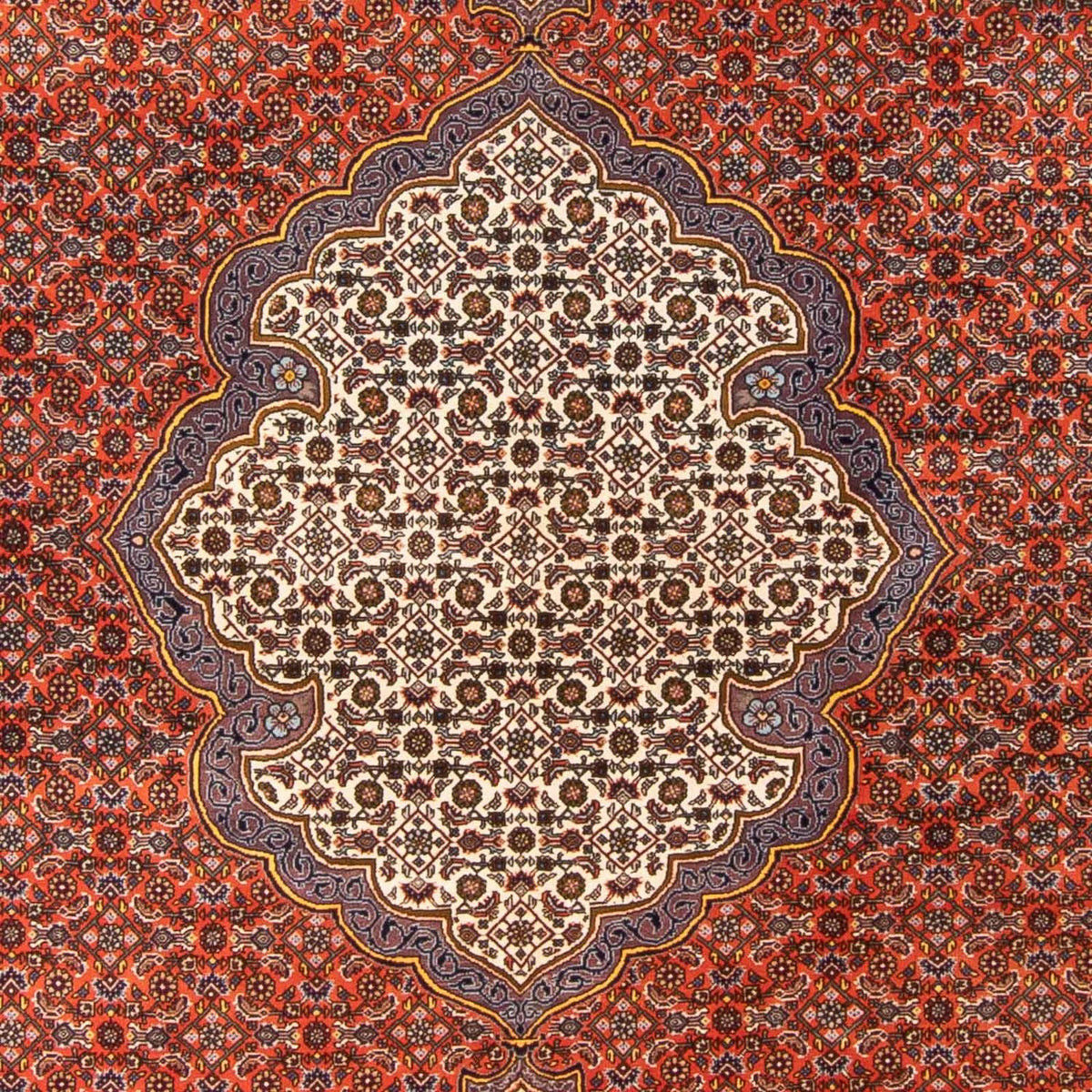 Tapis persan - Bidjar - 312 x 205 cm - orange
