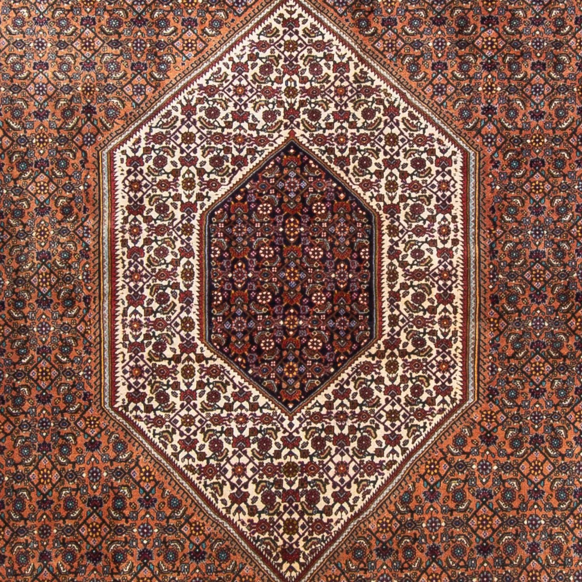 Tapis persan - Bidjar - 305 x 210 cm - marron