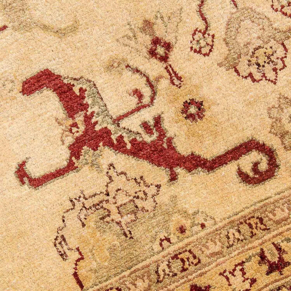Tapis Ziegler - 391 x 281 cm - beige
