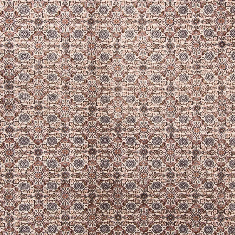 Tapis oriental - Bidjar - Indus - 347 x 243 cm - beige