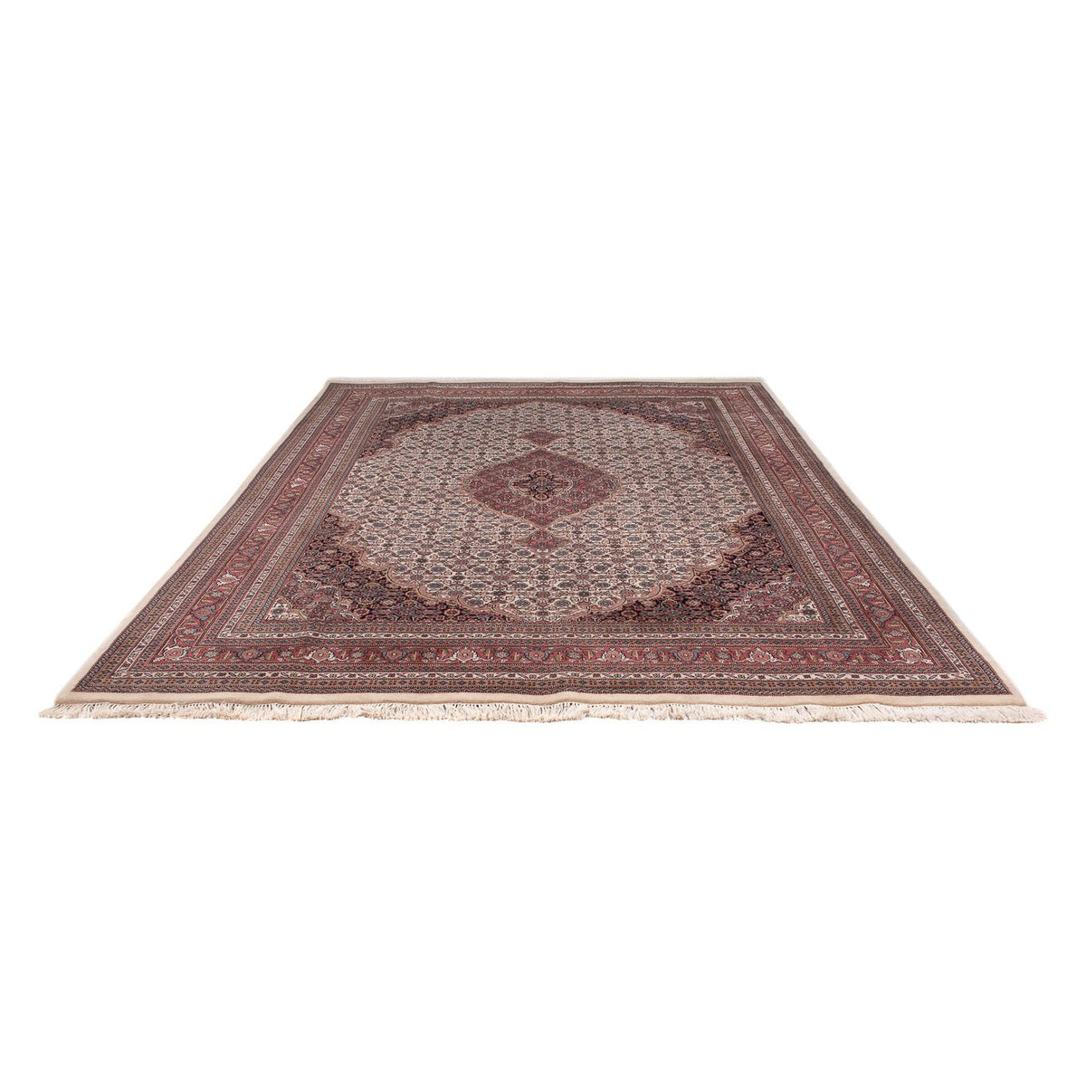Tapis oriental - Bidjar - Indus - 303 x 245 cm - beige