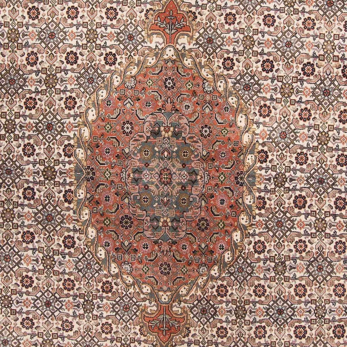 Tapis oriental - Bidjar - Indus - 338 x 243 cm - beige