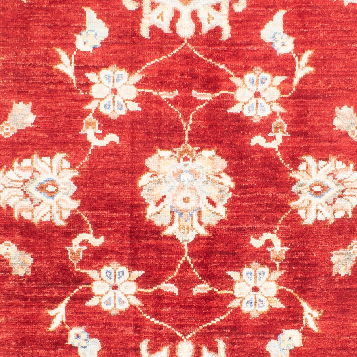 Tapis Ziegler - 155 x 105 cm - rouge