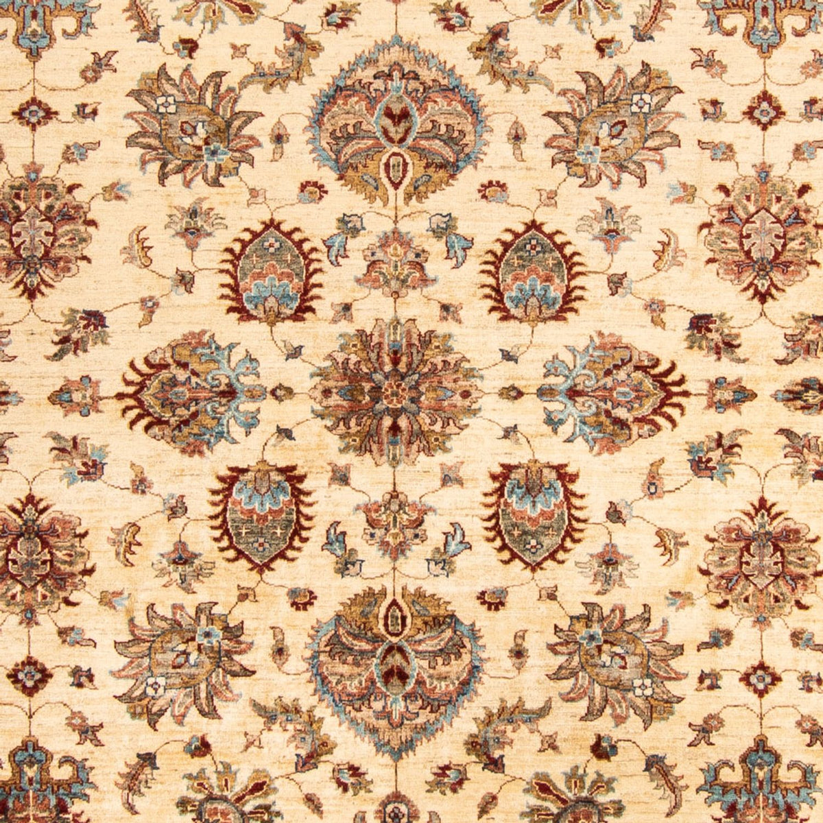 Tapis Ziegler - 306 x 254 cm - beige