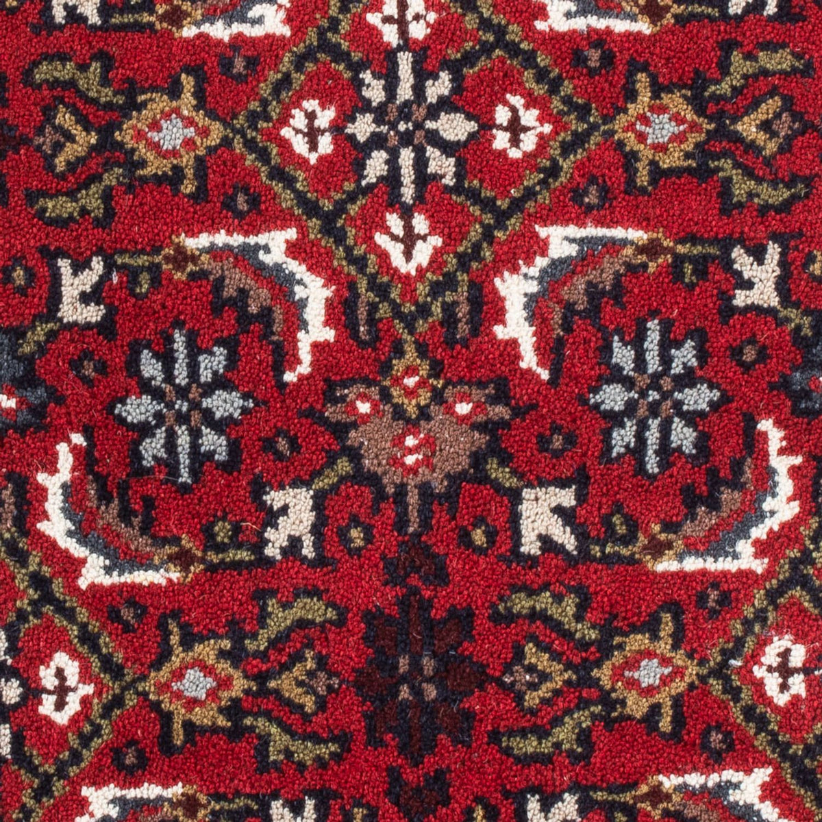 Tapis oriental - Bidjar - Indus - 90 x 60 cm - rouge