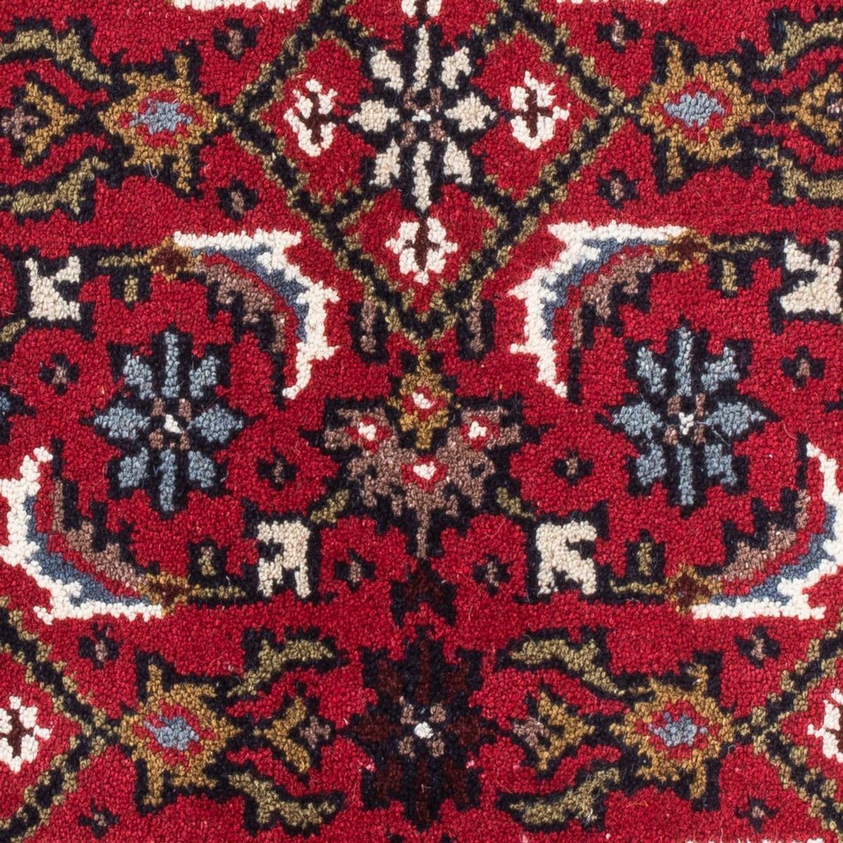 Tapis oriental - Bidjar - Indus - 90 x 60 cm - rouge