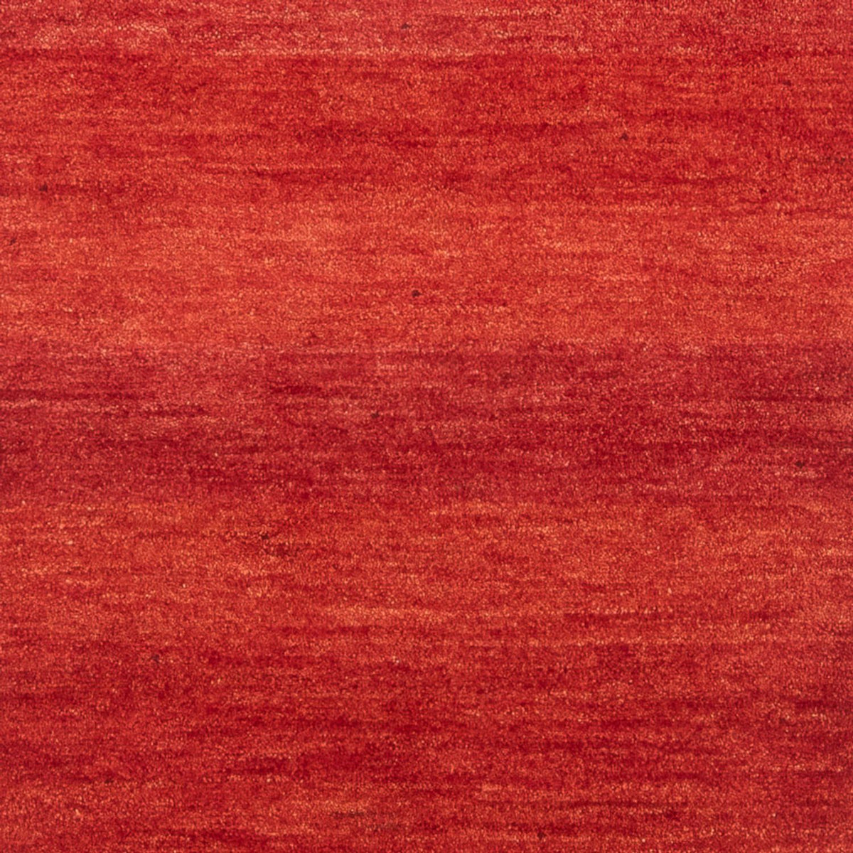Tapis de couloir Tapis Gabbeh - Persan - 248 x 82 cm - rouge