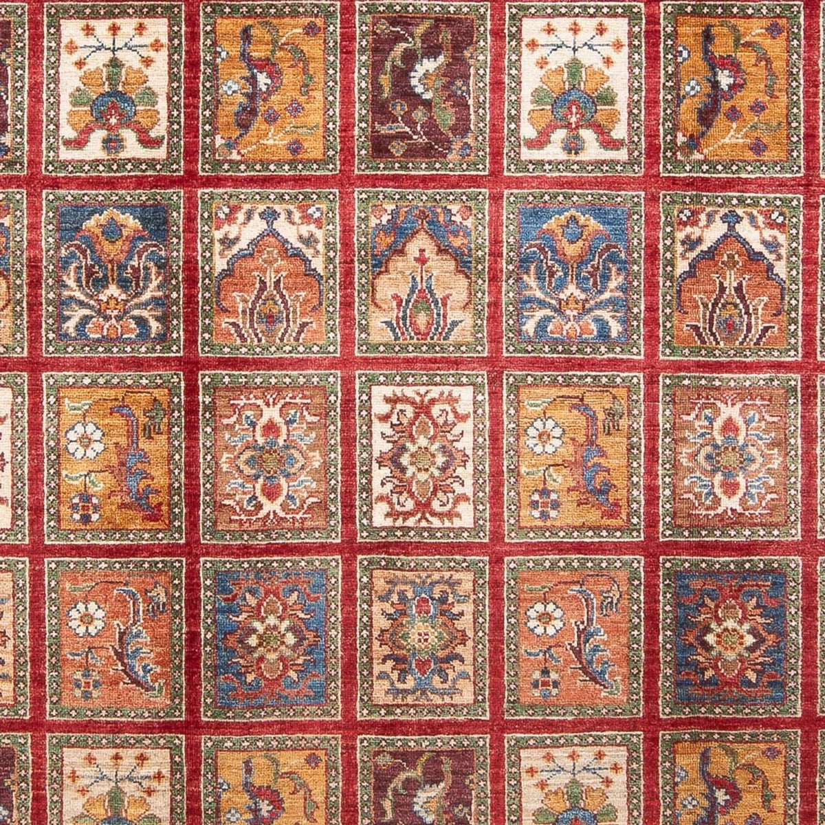 Tapis Ziegler - Bakhtiari - 237 x 176 cm - multicolore