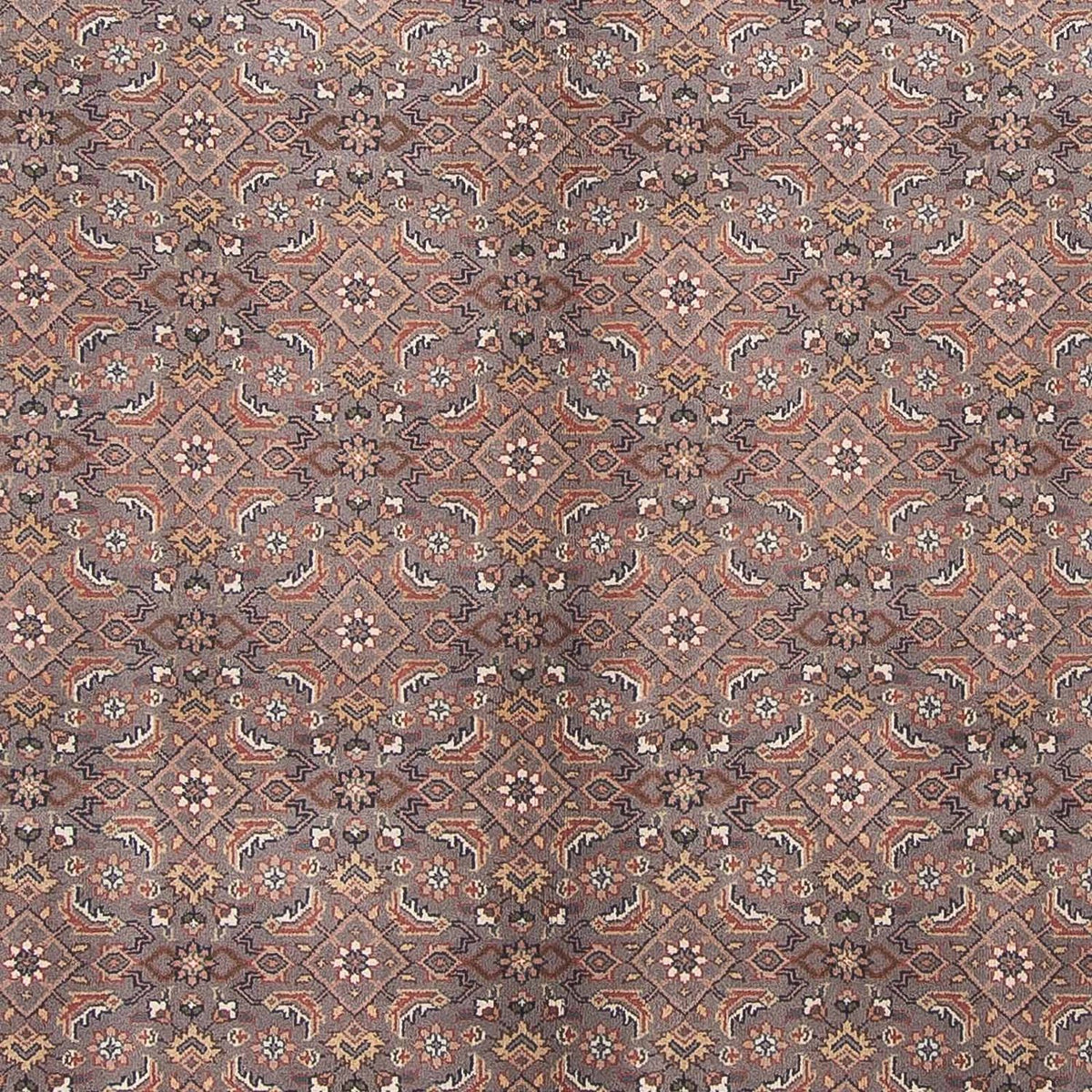 Tapis oriental - Bidjar - Indus - 299 x 248 cm - marron foncé