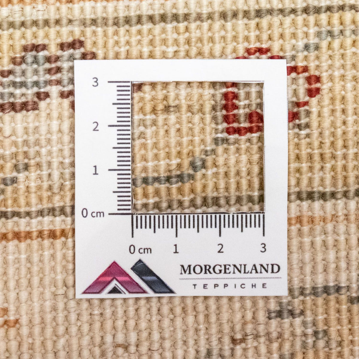 Tapis Ziegler - 249 x 174 cm - beige