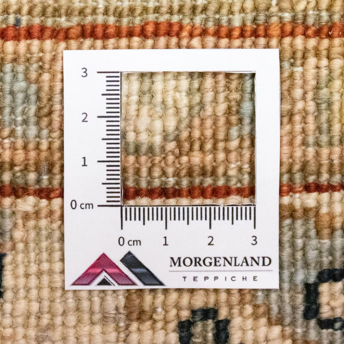 Tapis Ziegler - 258 x 173 cm - bleu