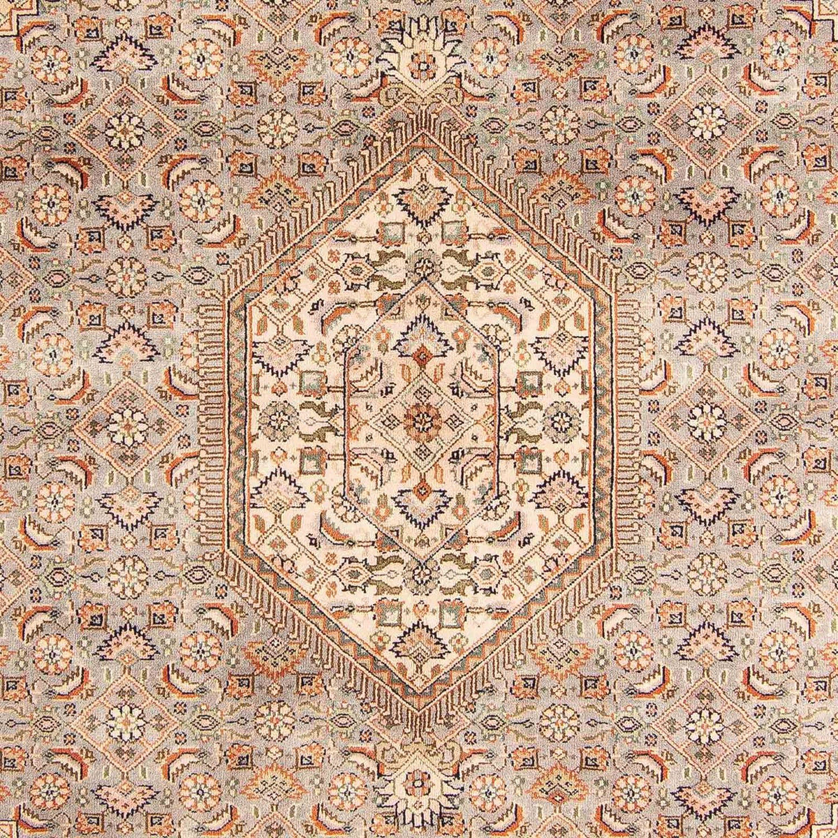 Tapis oriental - Bidjar - Indus - 242 x 169 cm - marron clair