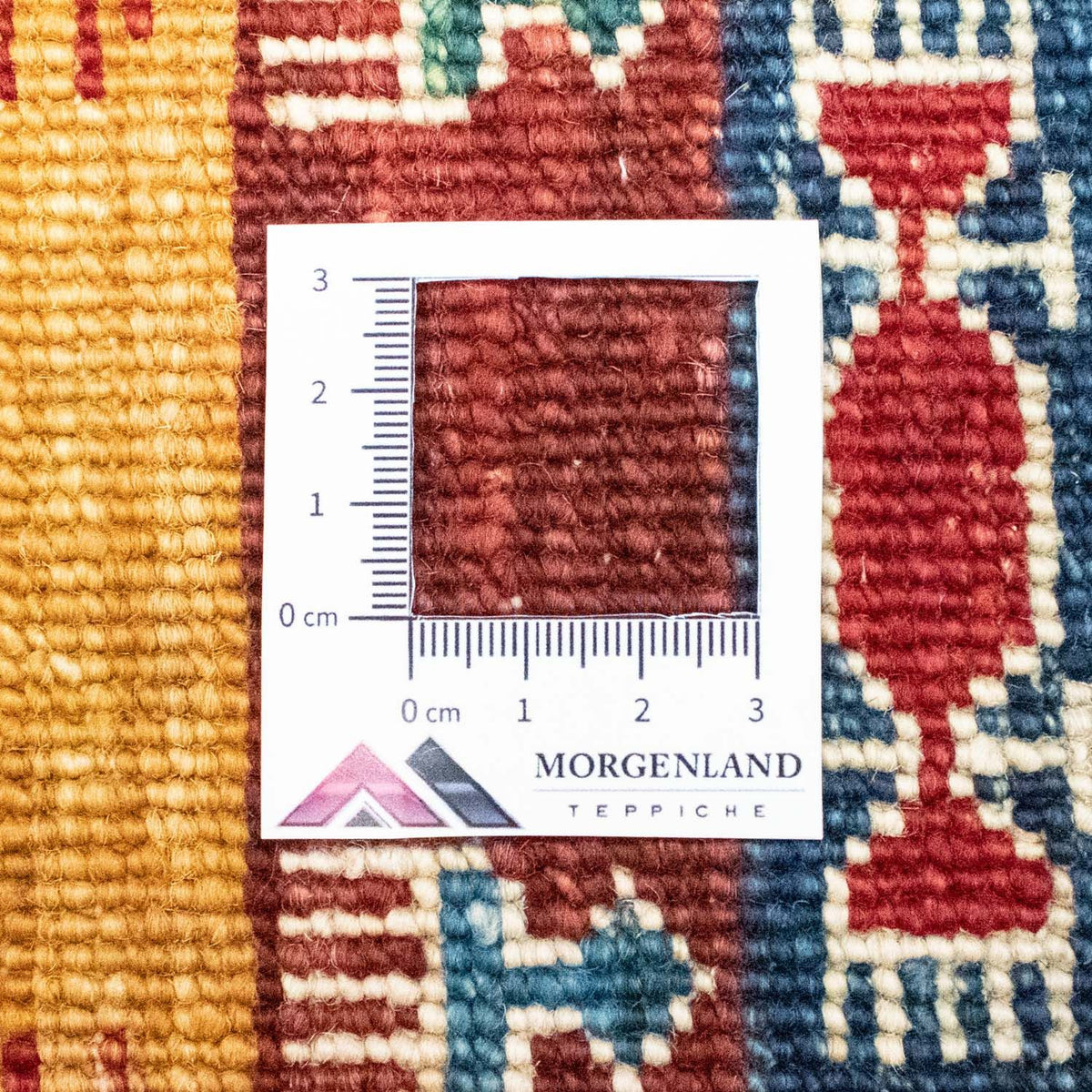 Tapis Ziegler - 243 x 169 cm - multicolore