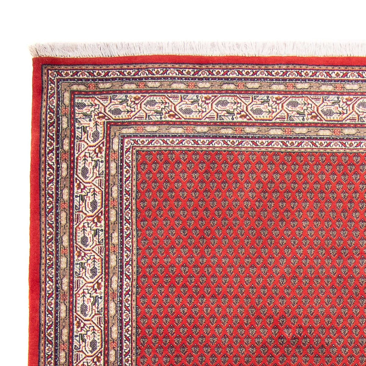 Tapis oriental - Mir - Indus - 239 x 173 cm - rouge