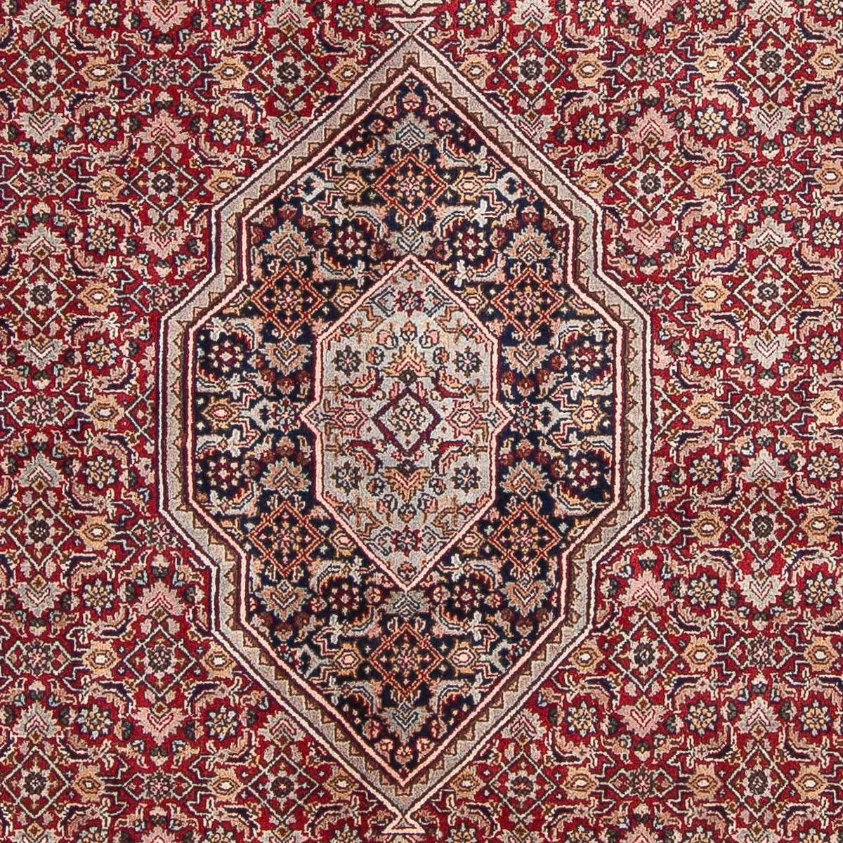 Tapis oriental - Bidjar - Indus - 336 x 246 cm - rouge foncé