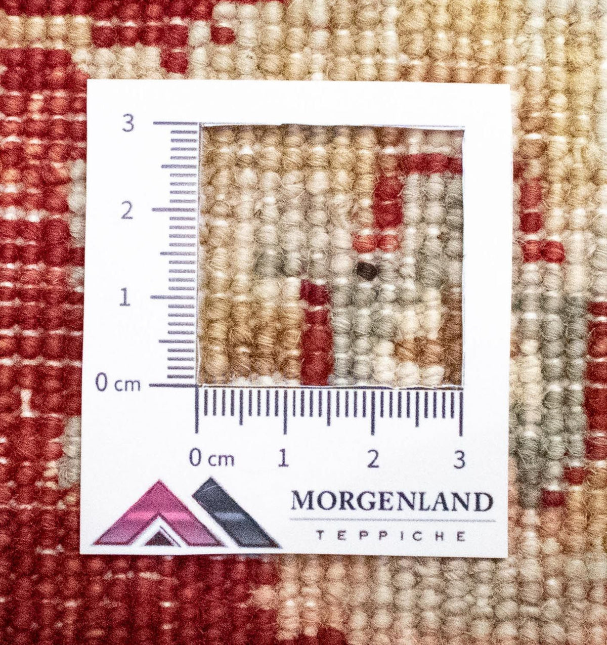 Tapis Ziegler - 122 x 77 cm - beige
