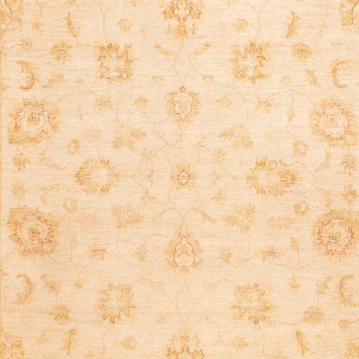 Tapis Ziegler - 350 x 253 cm - beige