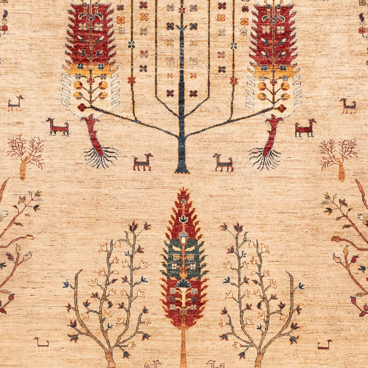 Tapis Ziegler - Ariana - 352 x 241 cm - beige