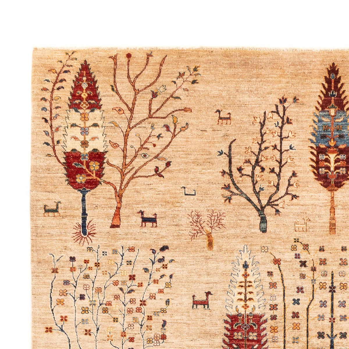 Tapis Ziegler - Ariana - 352 x 241 cm - beige