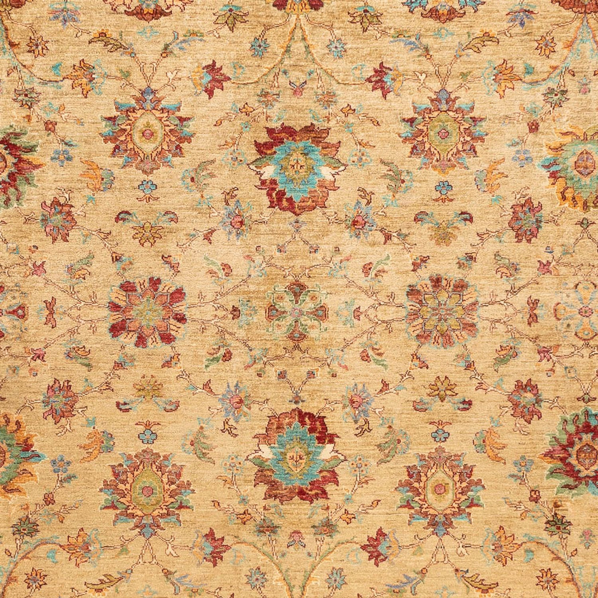 Tapis Ziegler - Ariana - 331 x 239 cm - beige