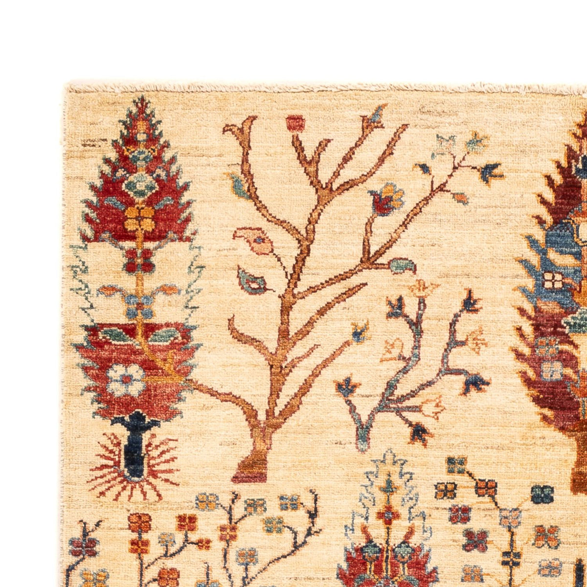 Tapis Ziegler - Ariana - 178 x 125 cm - beige