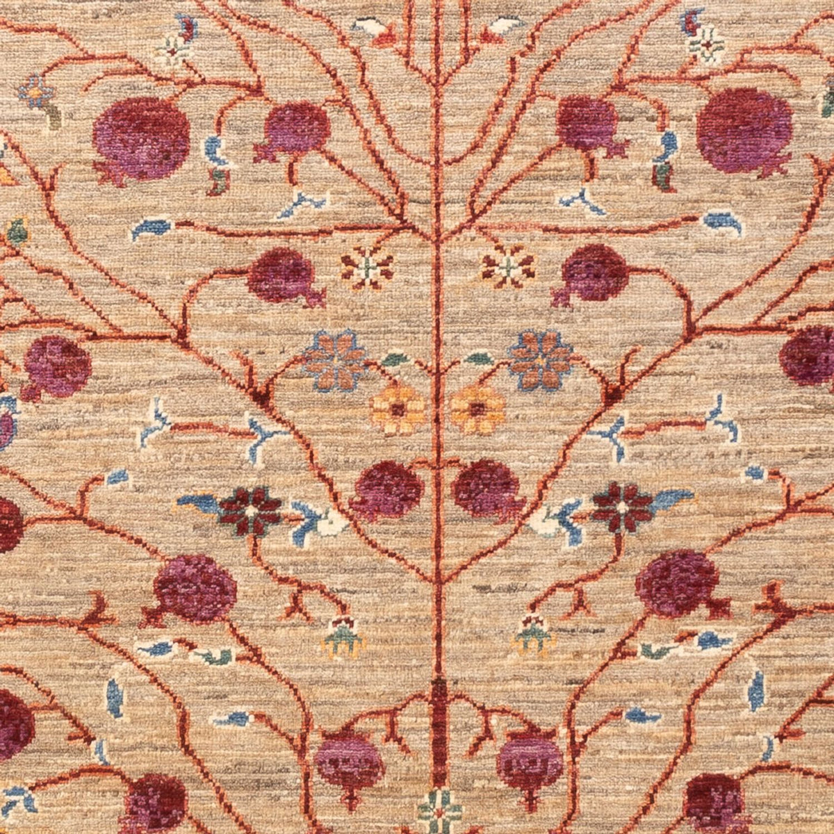 Tapis Ziegler - Ariana - 177 x 122 cm - beige