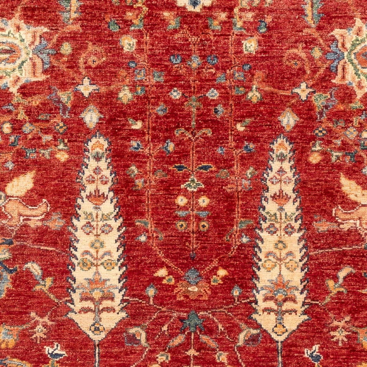 Tapis Ziegler - Ariana - 177 x 123 cm - rouge