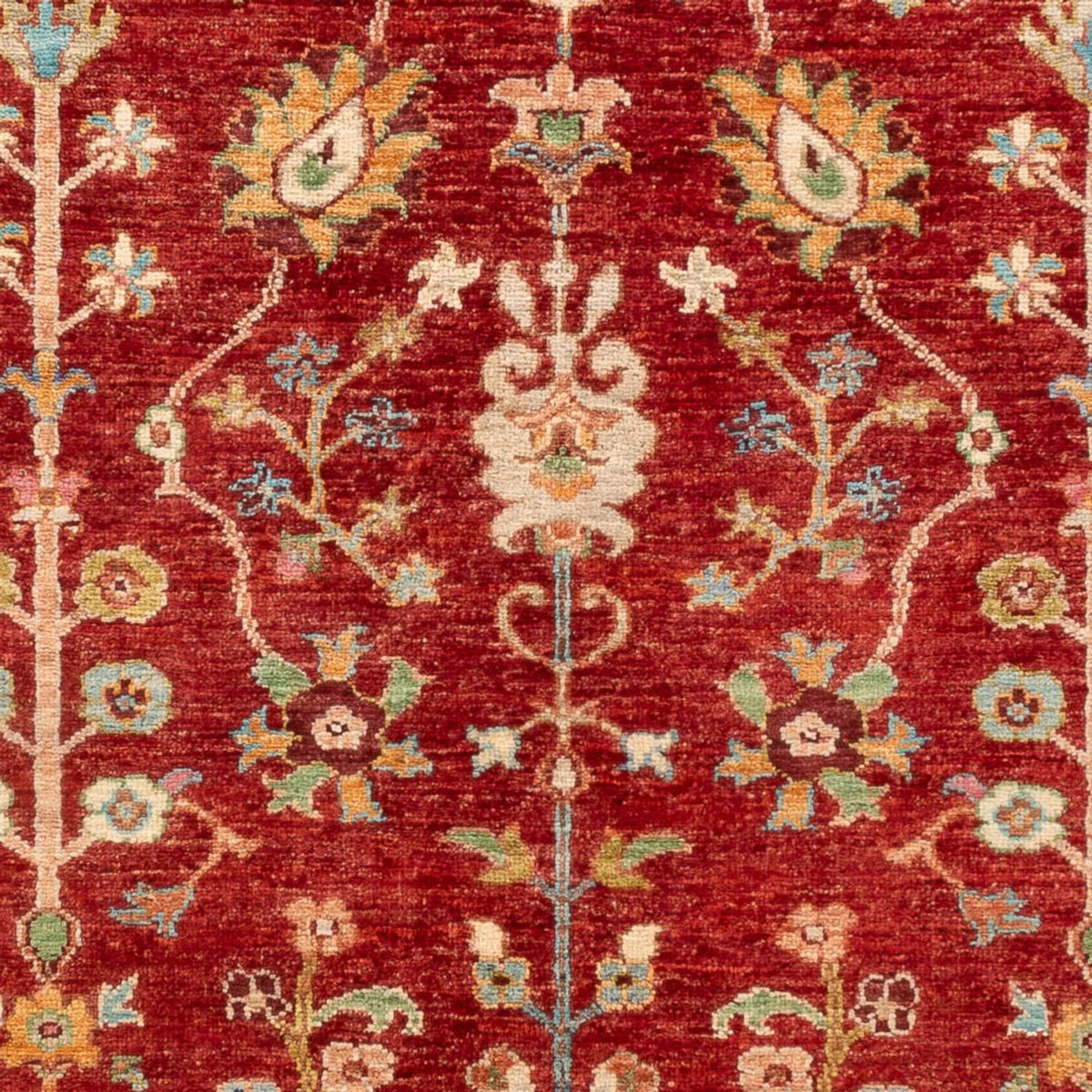Tapis Ziegler - Ariana - 180 x 125 cm - rouge