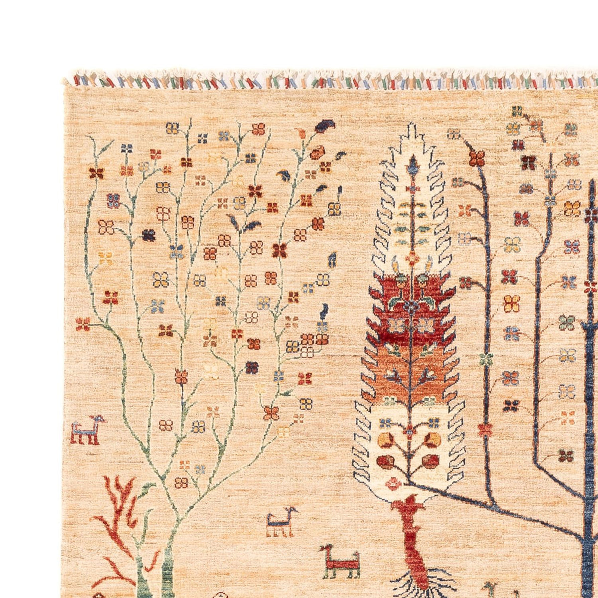 Tapis Ziegler - Ariana - 290 x 204 cm - beige clair