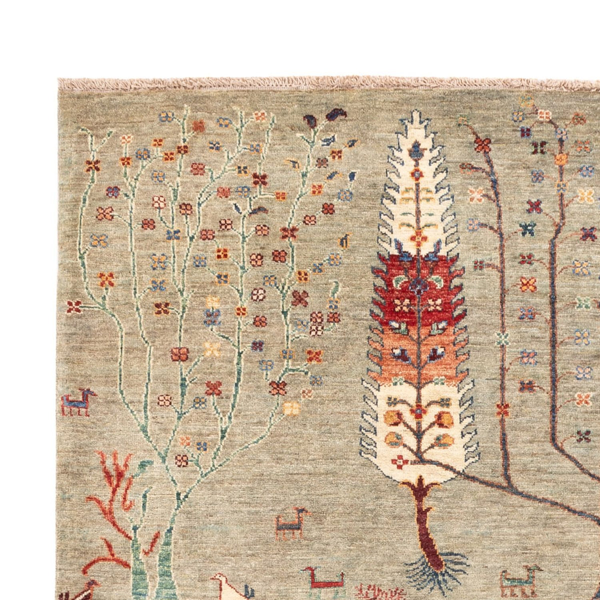 Tapis Ziegler - Ariana - 244 x 173 cm - sable