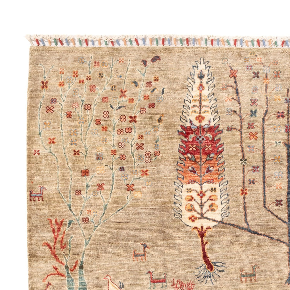 Tapis Ziegler - Ariana - 237 x 172 cm - gris clair