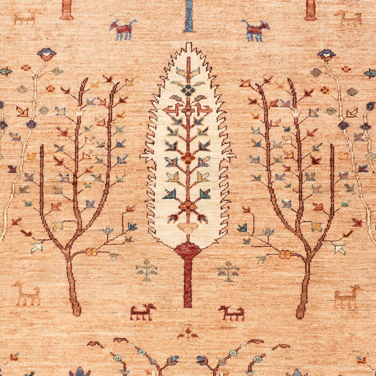 Tapis Ziegler - Ariana - 230 x 177 cm - caramel