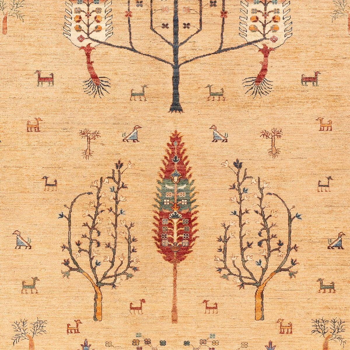 Tapis Ziegler - Ariana - 388 x 298 cm - beige