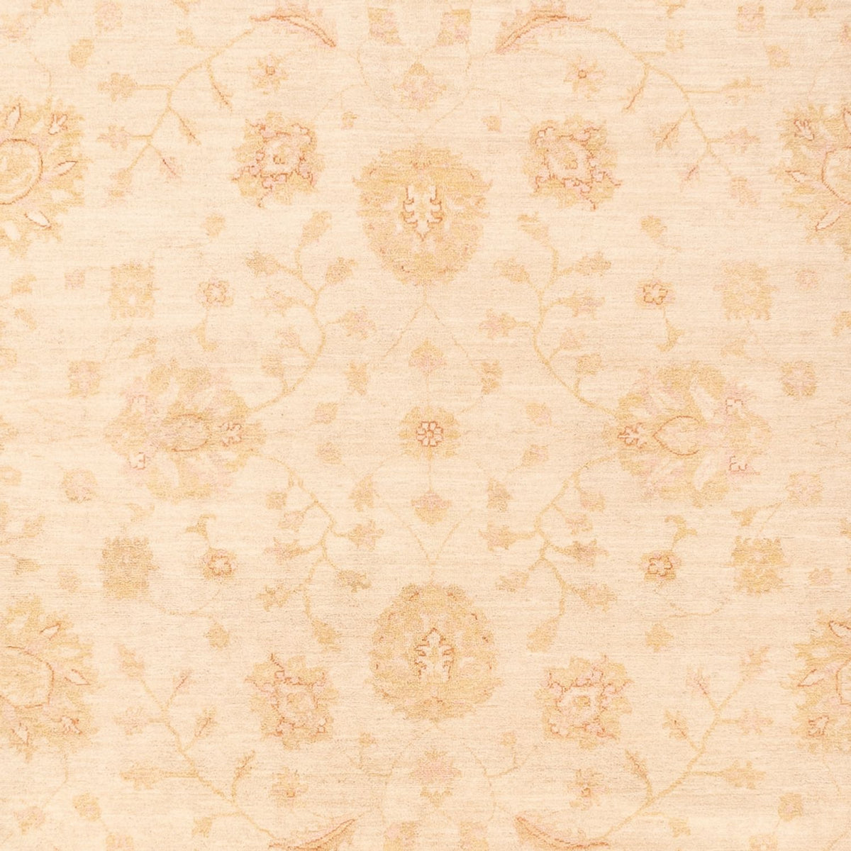 Tapis Ziegler - 365 x 270 cm - beige