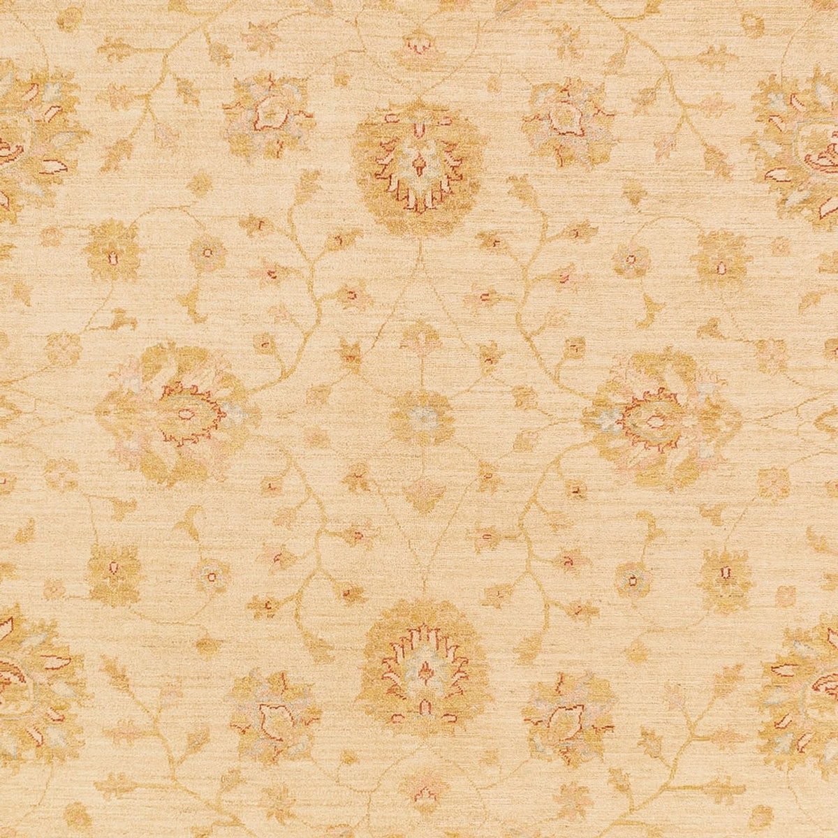 Tapis Ziegler - 365 x 273 cm - beige