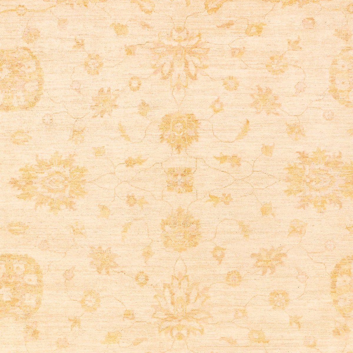 Tapis Ziegler - 367 x 270 cm - beige