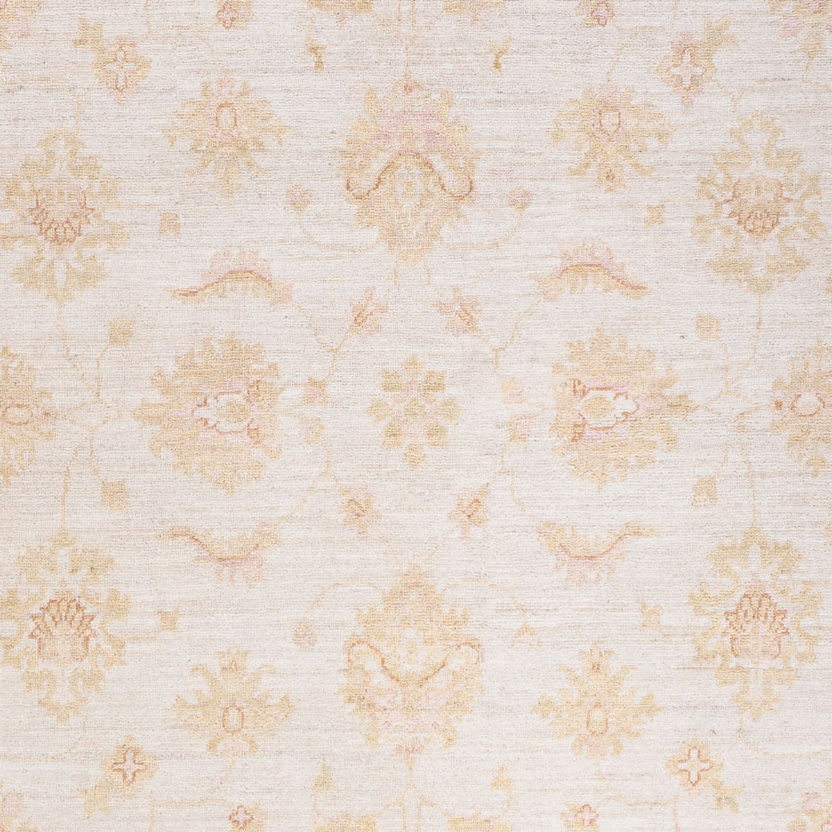 Tapis Ziegler - 248 x 175 cm - crème