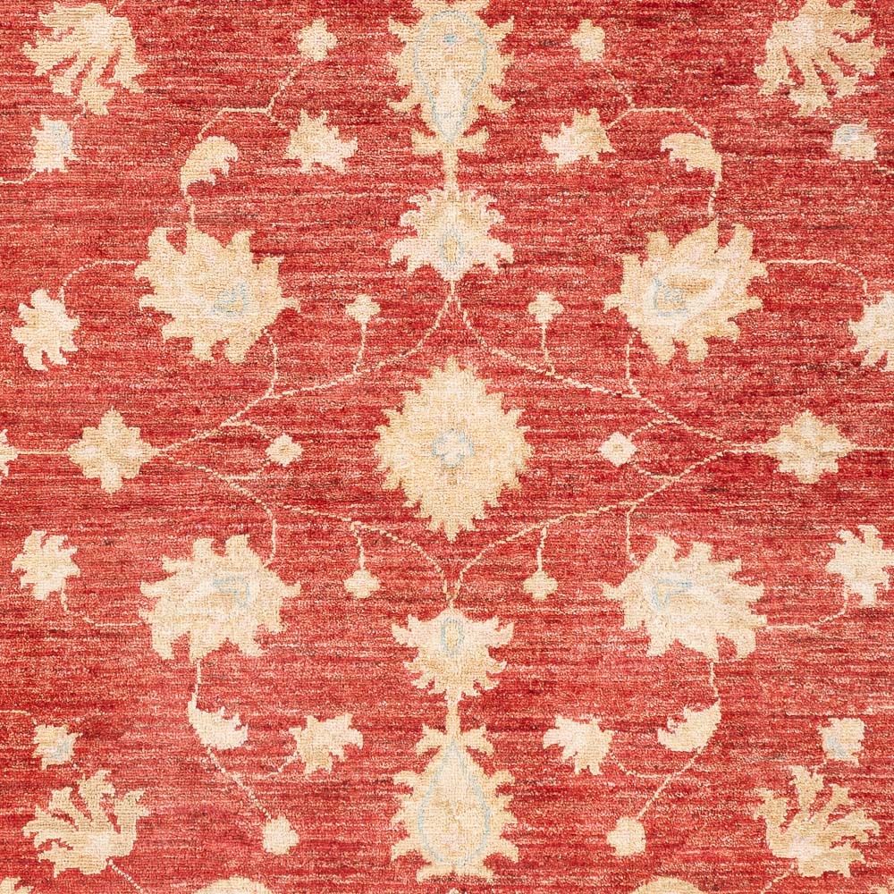Tapis Ziegler - Moderne - 206 x 154 cm - rouge