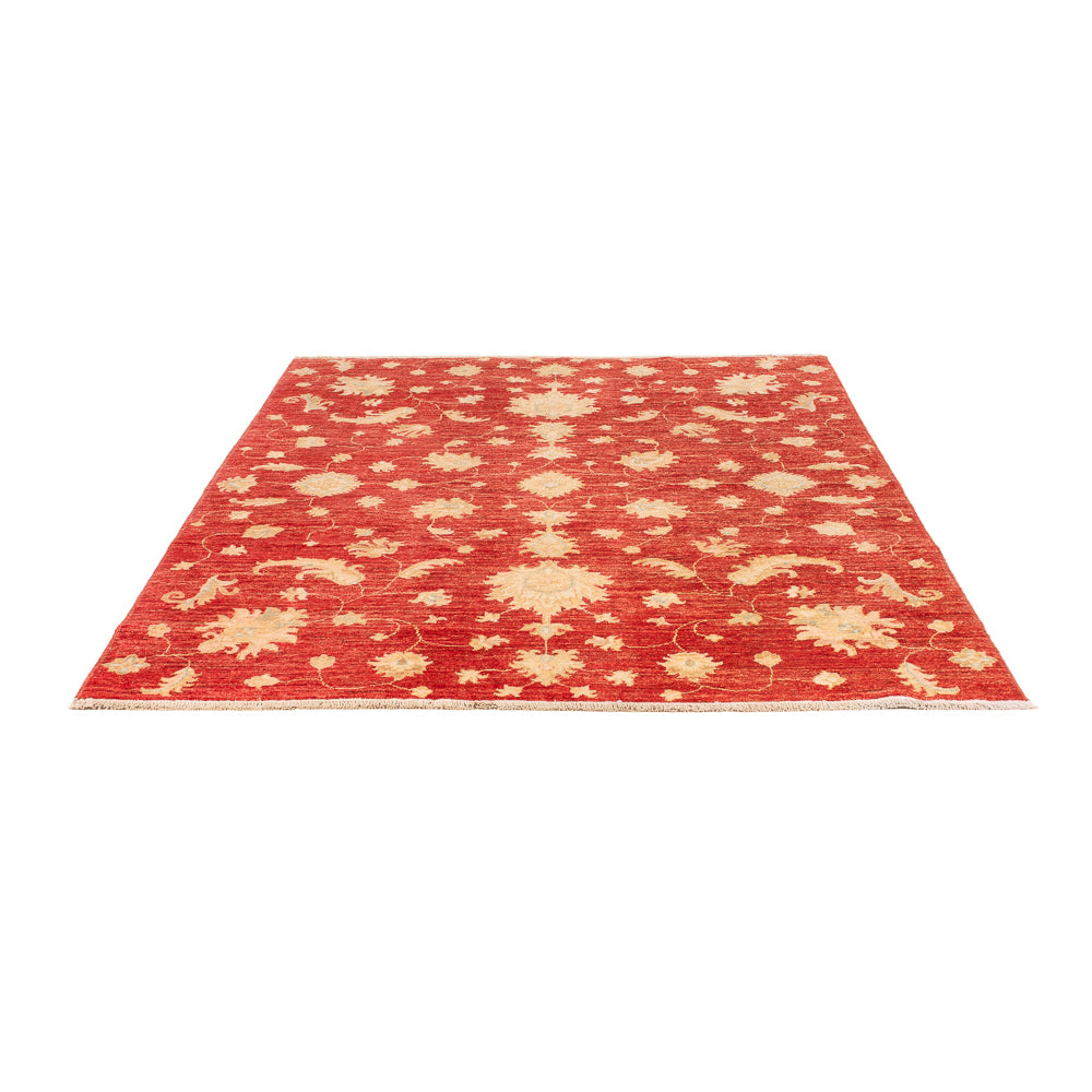 Tapis Ziegler - Moderne - 206 x 154 cm - rouge