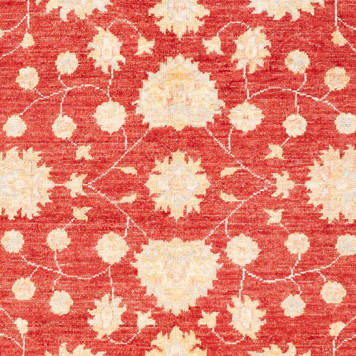 Tapis Ziegler - 177 x 126 cm - rouge