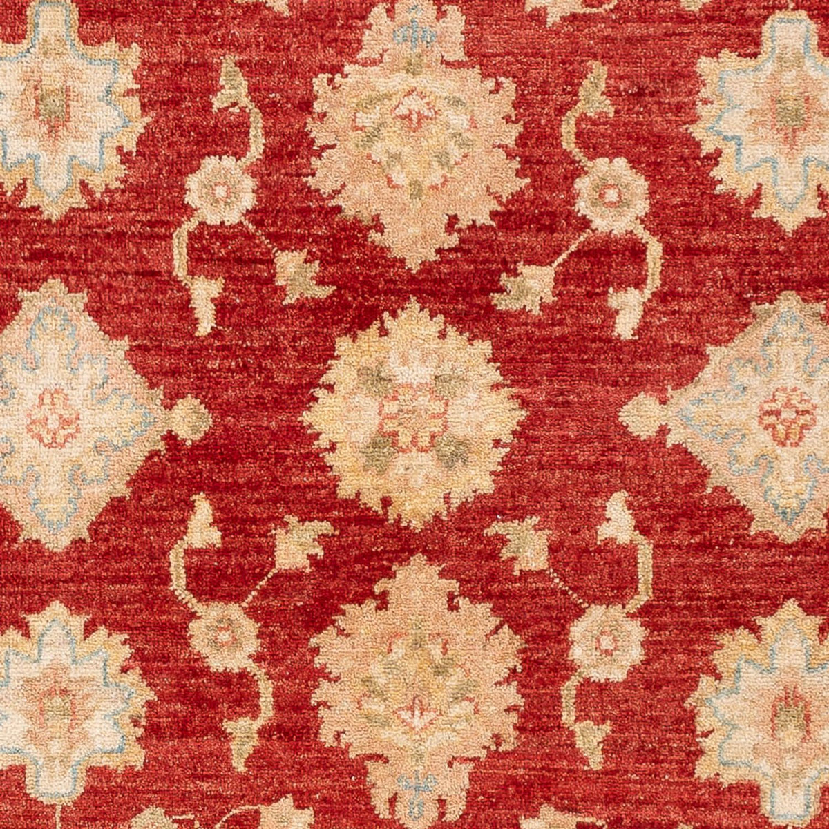 Tapis Ziegler - 151 x 102 cm - rouge