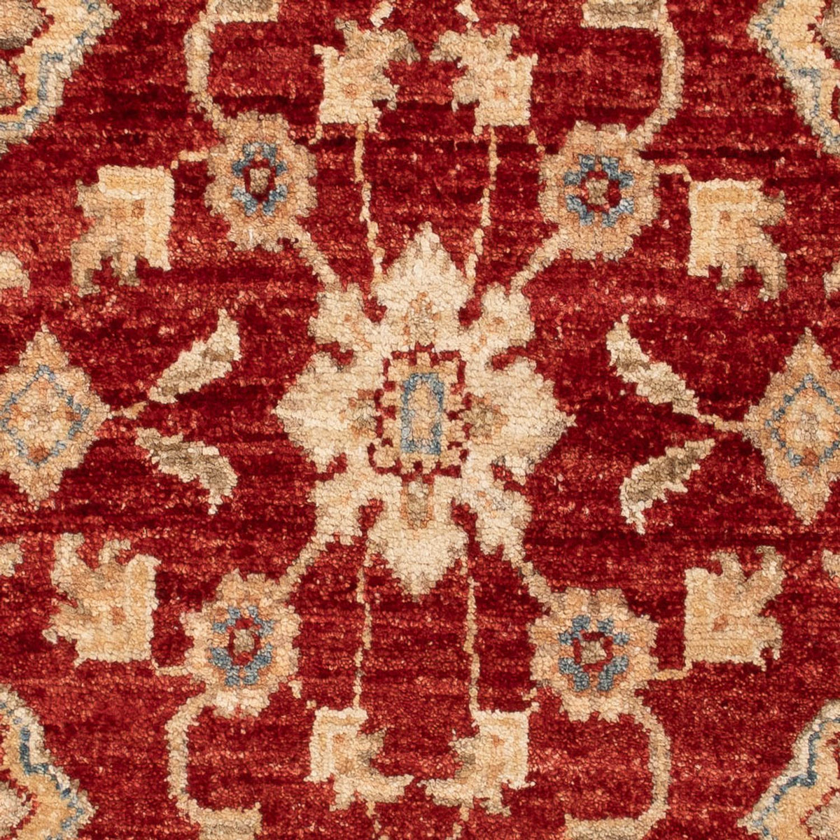 Tapis Ziegler - 114 x 70 cm - rouge