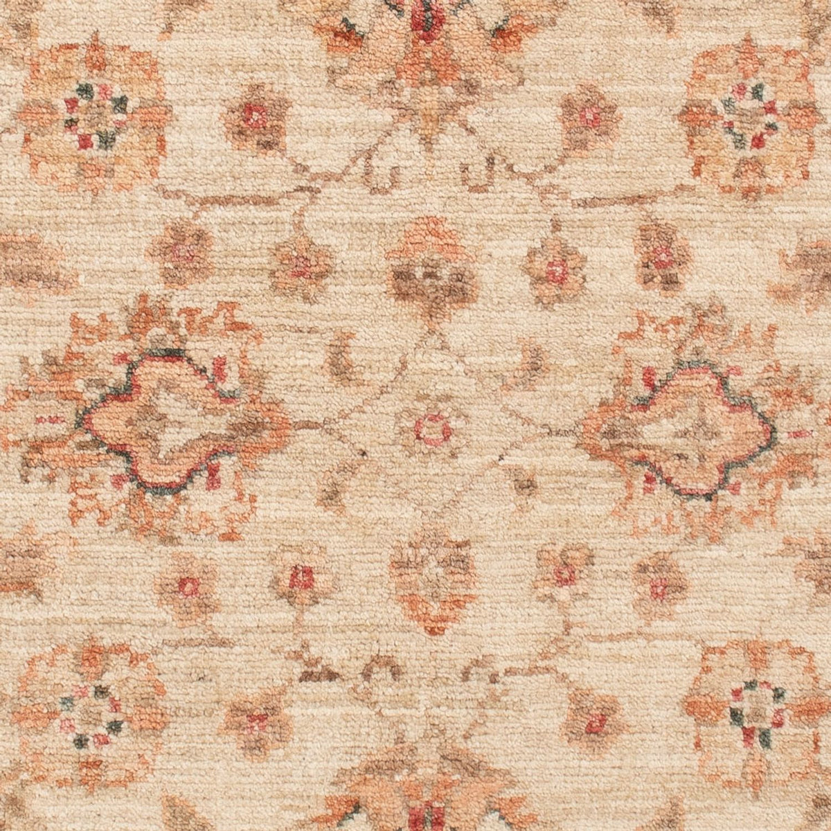 Tapis Ziegler - 120 x 83 cm - beige