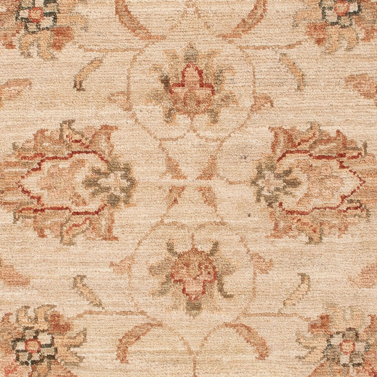 Tapis Ziegler - 118 x 84 cm - beige