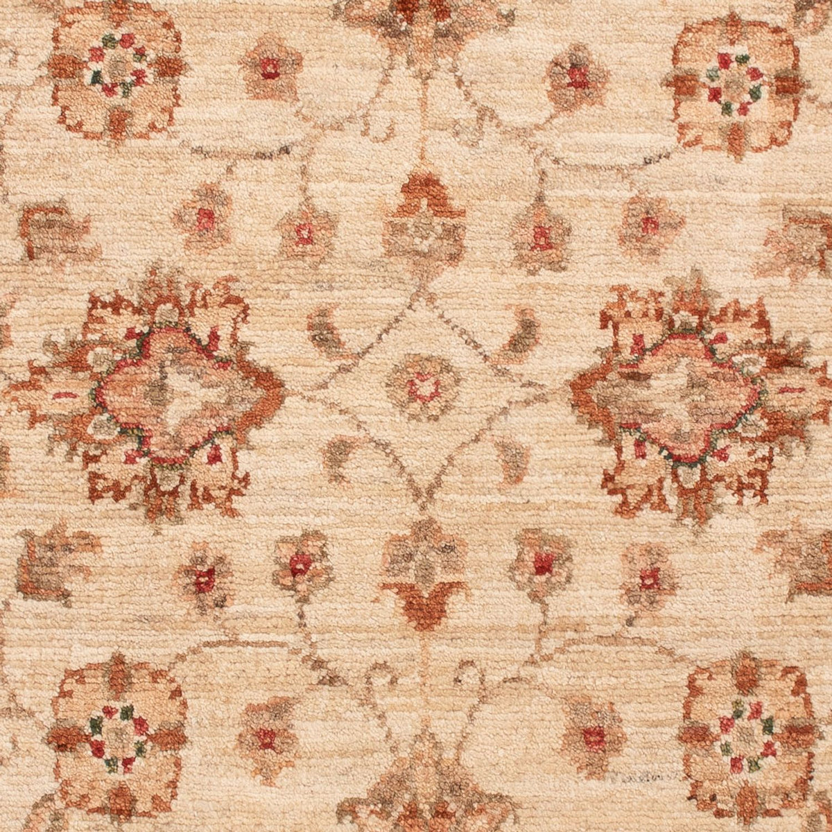 Tapis Ziegler - 130 x 81 cm - beige