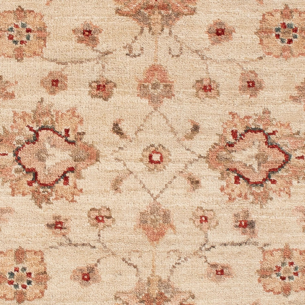 Tapis Ziegler - 109 x 88 cm - beige