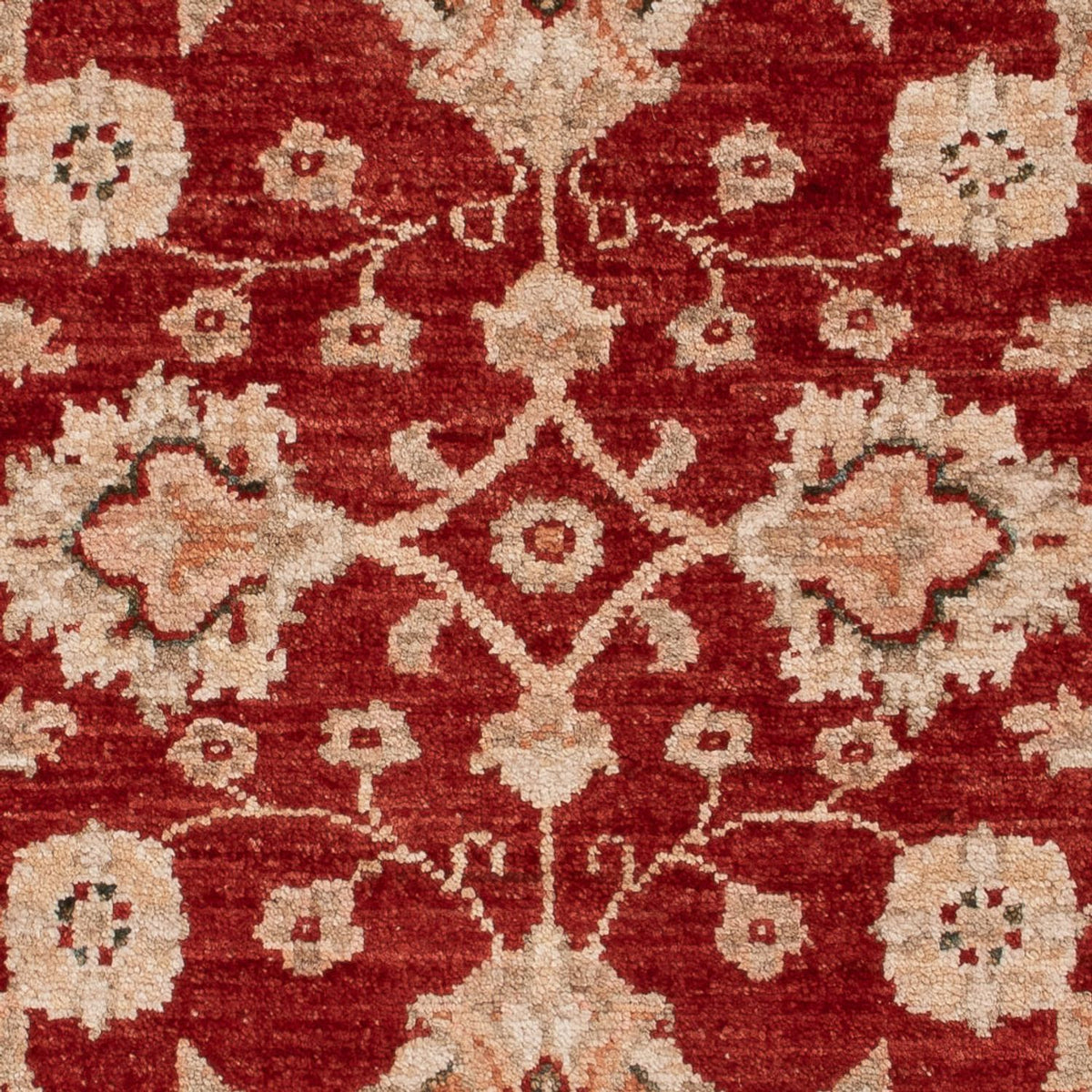Tapis Ziegler - 122 x 84 cm - rouge bordeaux